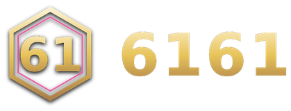 6161 logo